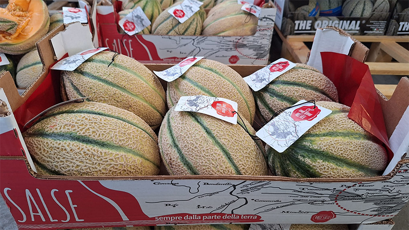 Melone retato, Mantova - 2,50 euro al chilo